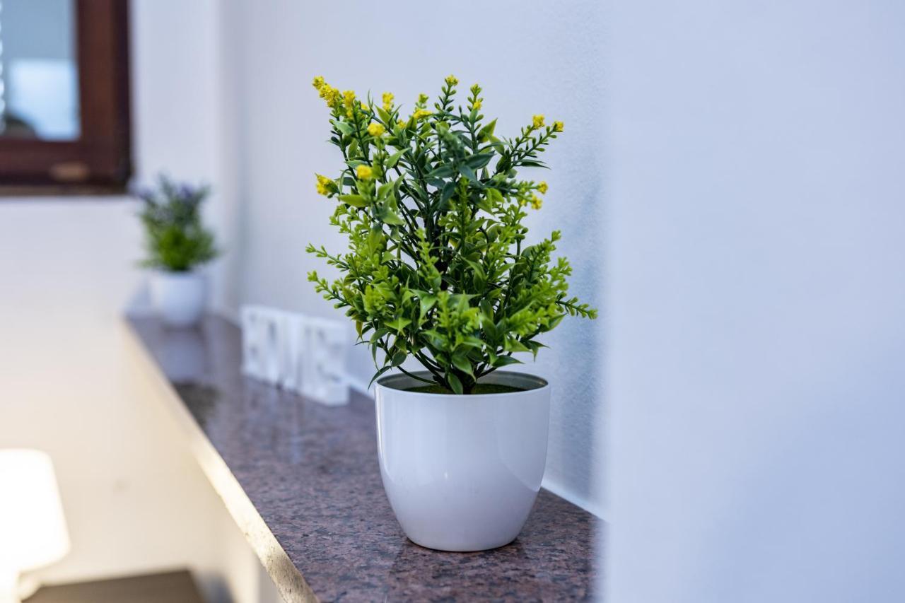 Santa Marta Apartments ミラノ エクステリア 写真